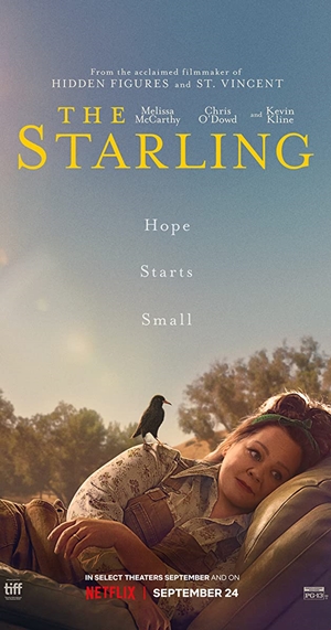 The Starling -Seyret