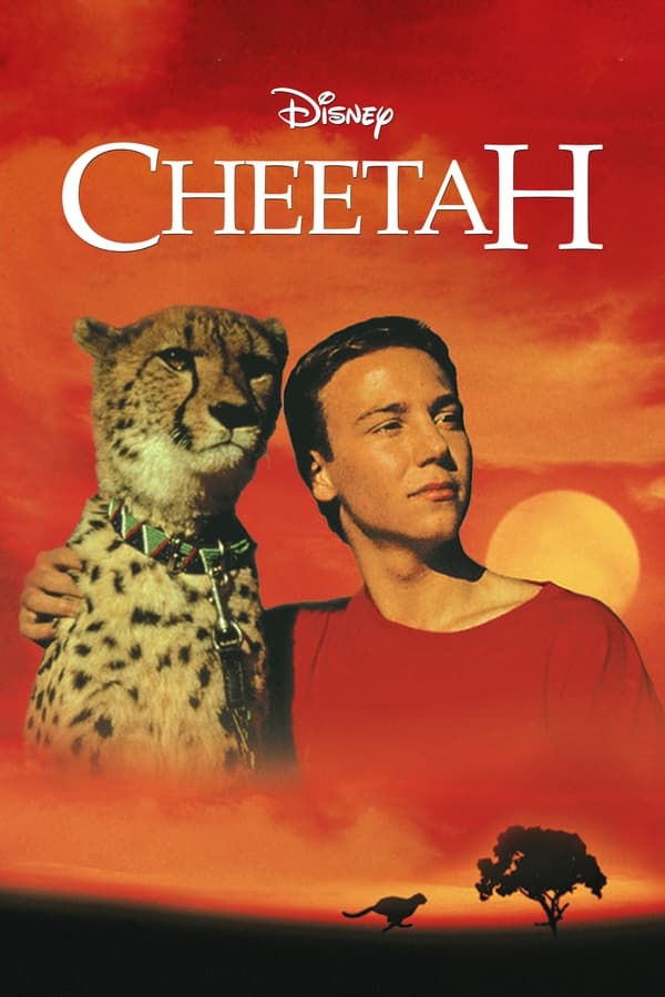 Cheetah-Seyret