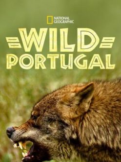 Wild Portugal-Seyret