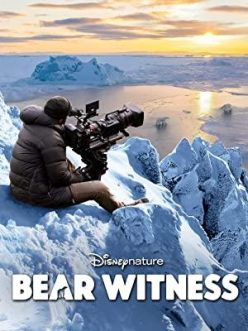 Bear Witness-Seyret